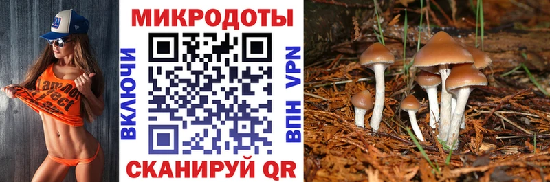Псилоцибиновые грибы Magic Shrooms  мега вход  Медногорск 